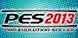 PES 2013 digital download best prices