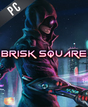 Brisk Square VR