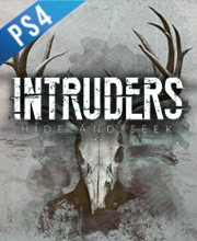 Intruders Hide and Seek
