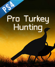 Pro Turkey Hunting
