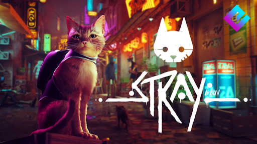 buy Stray cheap game key lowest price