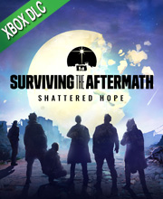 Surviving the Aftermath Shattered Hope