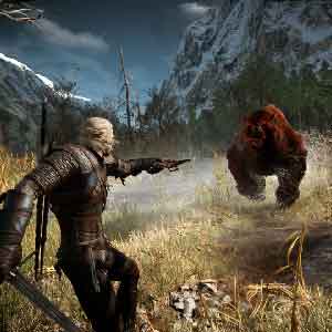 The Witcher 3 Wild Hunt Enemy