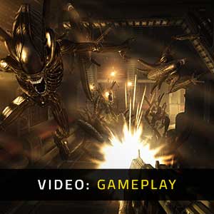 cheap alien vs predator game free