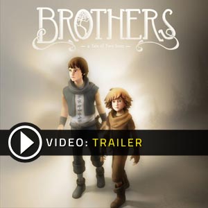 brothers a tale of 2 sons download