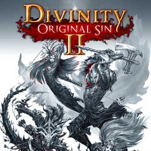 Divinity original sin 2 divine edition что входит