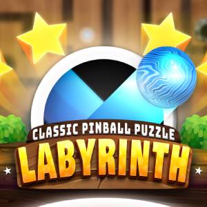 Labyrinth Classic Pinball Puzzle