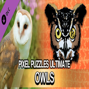 Pixel Puzzles Ultimate Puzzle Pack Owls