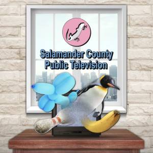 Salamander County Public Television Xbox One Price Comparison
