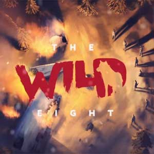 The wild eight можно ли играть вдвоем на одном пк