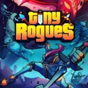 Tiny Rogues Digital Download Price Comparison