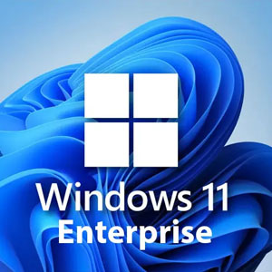 Windows 11 Enterprise Digital Download Price Comparison