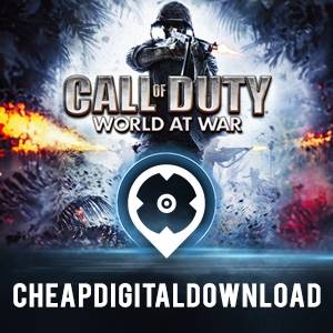 How to install Call of Duty: World at War + CD key 