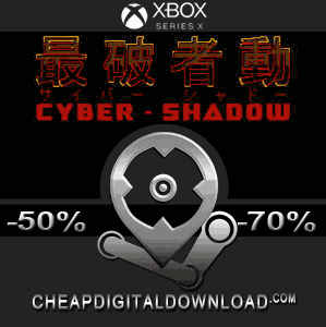 cyber shadow price