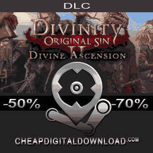 Divinity original sin 2 divine ascension как открыть артбук