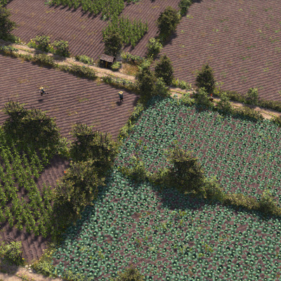 Farthest Frontier - Harvesting Crops