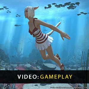FINAL FANTASY 14 Online Gameplay Video