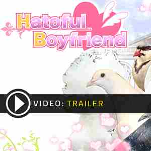 Hatoful Boyfriend Digital Download Price Comparison