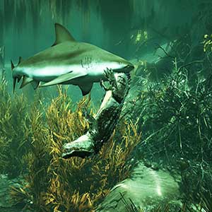 Explore a massive open world