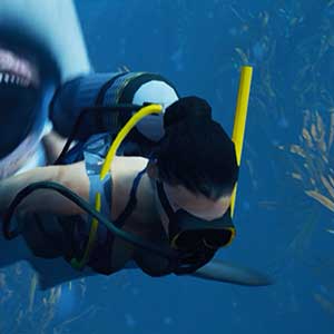 Explore sunken wrecks