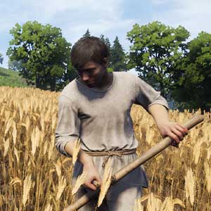 Medieval Dynasty Farming