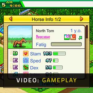 Pocket Stables - Gameplay Video