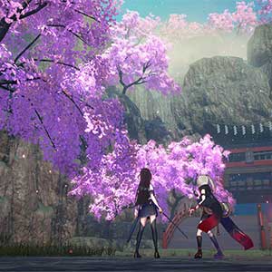 Samurai Maiden - Sakura Blossom