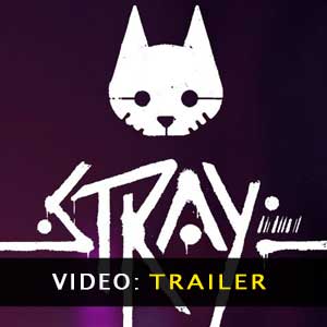 Stray Video Trailer