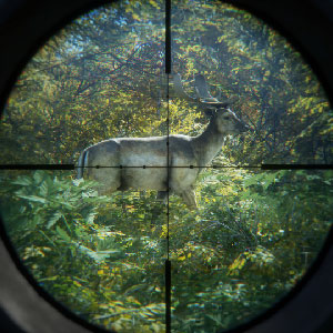 theHunter Call of the Wild - action-packed games