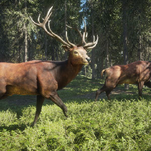 theHunter: Call of the Wild 2021 Edition is now available on PC and  consoles - Saving Content