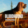 theHunter: Call of the Wild Bloodhound Behind The Scenes